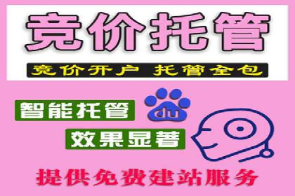 探索百度竞价代理的未来发展趋势与挑战